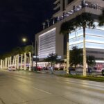Palm Tree Lighting 3