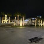 Palm Tree Lighting 5
