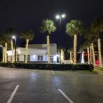 Palm Tree Lighting 6