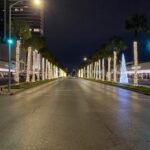 Palm Tree Lighting Main Street