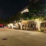 Holiday Lighting